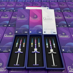 GEMINI